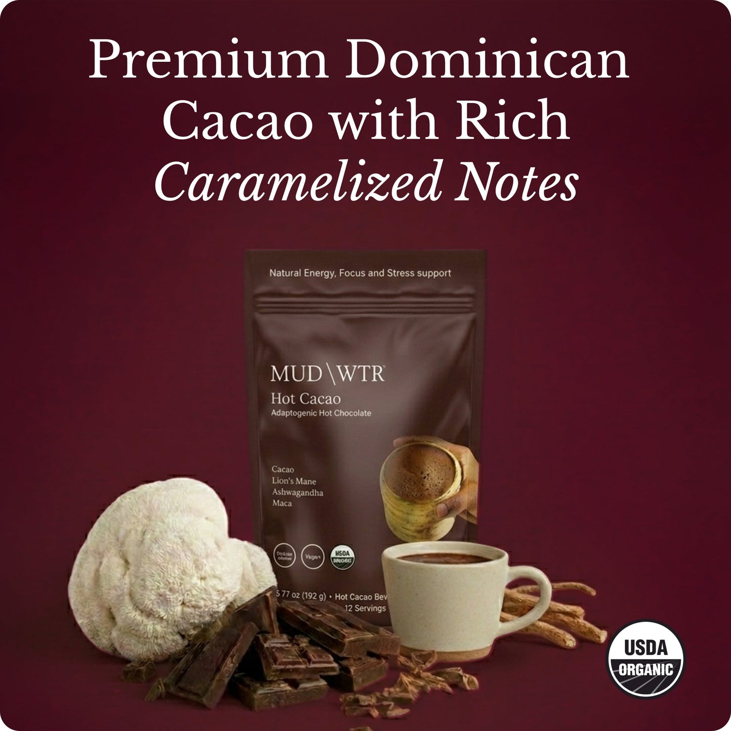 hot-chocolate-a1 Hot_Chocolate_Image_01.jpg