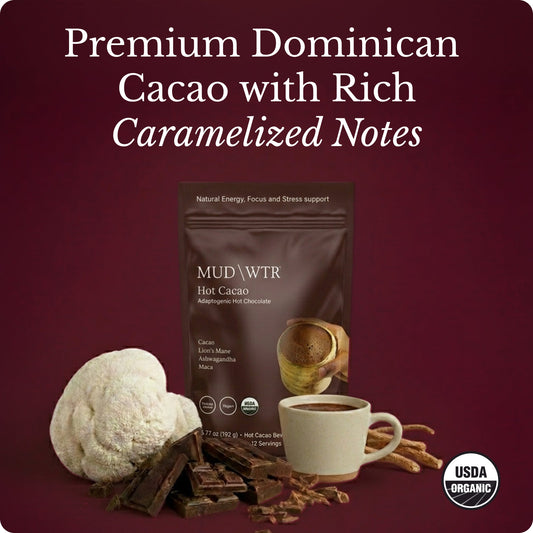 hot-chocolate-a1 Hot_Chocolate_Image_01.jpg