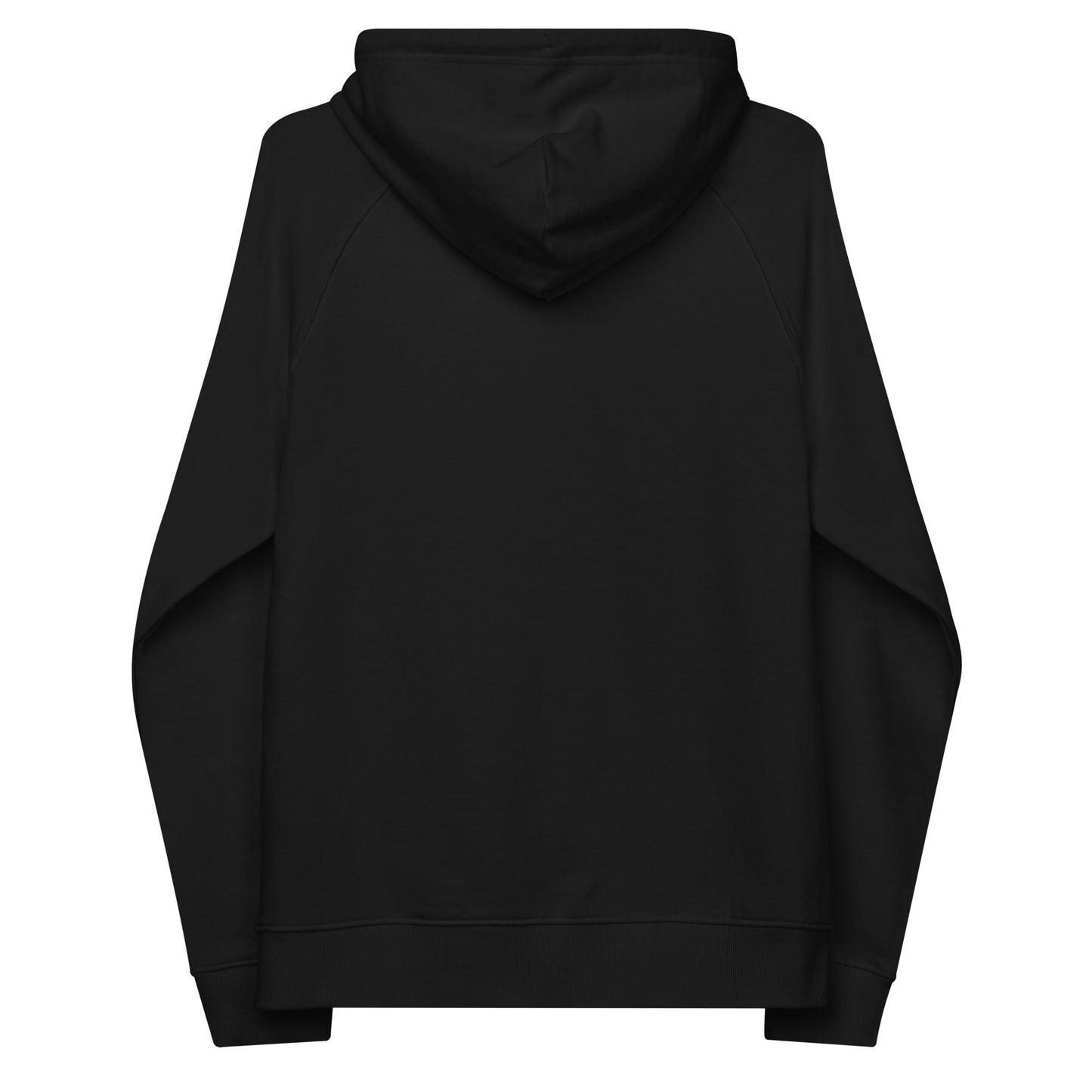 unlearn-relearn-hoodie-a8 unisex-eco-raglan-hoodie-black-back-647547b169f25.jpg
