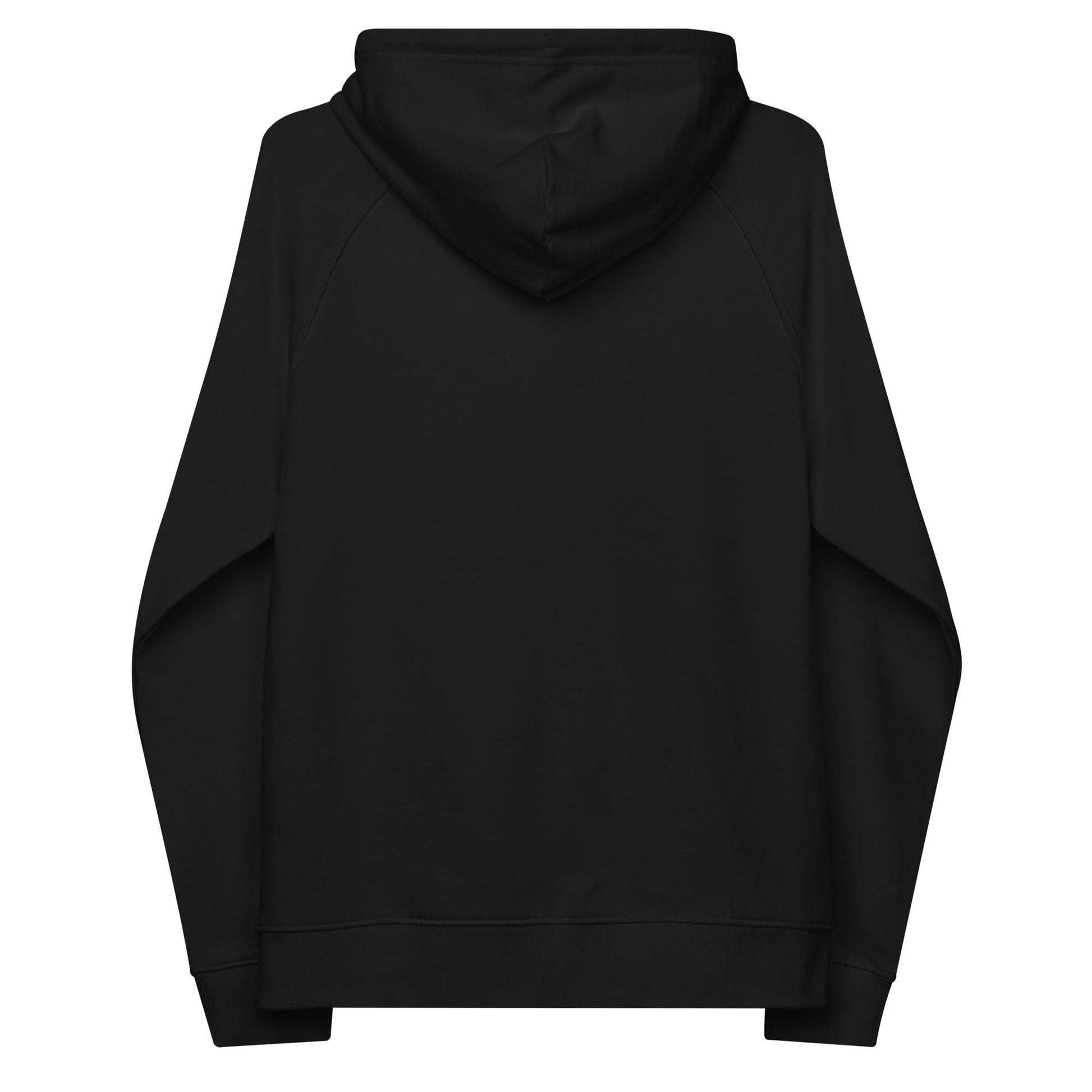 unlearn-relearn-hoodie-a8 unisex-eco-raglan-hoodie-black-back-647547b169f25.jpg